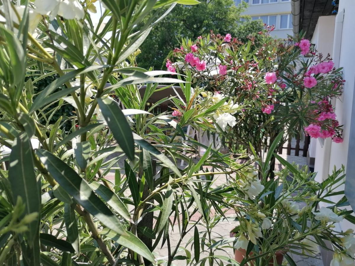 Kertesz Vendeghaz Hotel Eger Bagian luar foto